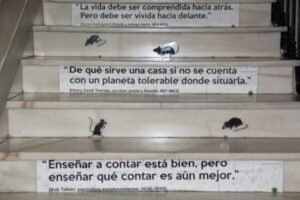 aula-matinal-biblioteca-4-600x400