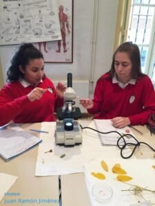 laboratorio_0-600x799