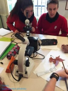 laboratorio_1-600x799