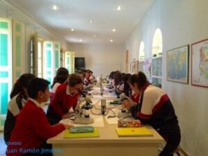 laboratorio_5-600x450