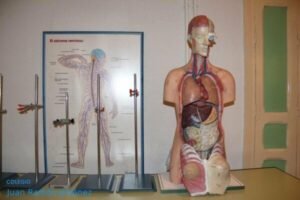 laboratorio_7-600x400